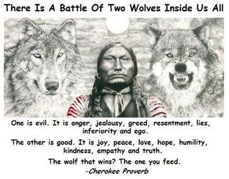 battle wolves My TOP 10 Commandments of Life Long Rapid Fat Loss (Part 1: The “Hidden” Intangibles to Living a Lean Life)